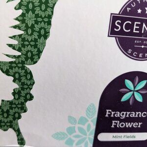 Scentsy Fragrance Flower Mint Fields - NEW